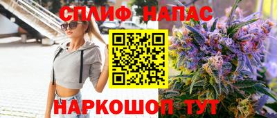 гидра Славгород