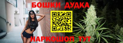 гидра Славгород