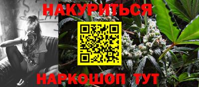 гидра Славгород