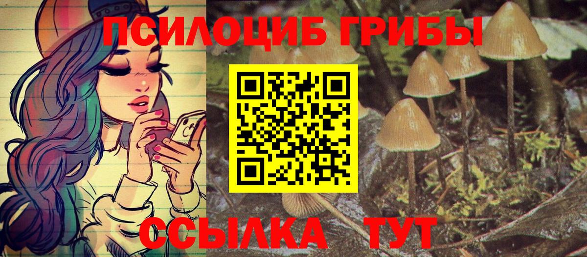 Орск  Галлюциногенные грибы Cubensis  Вход с VPN 